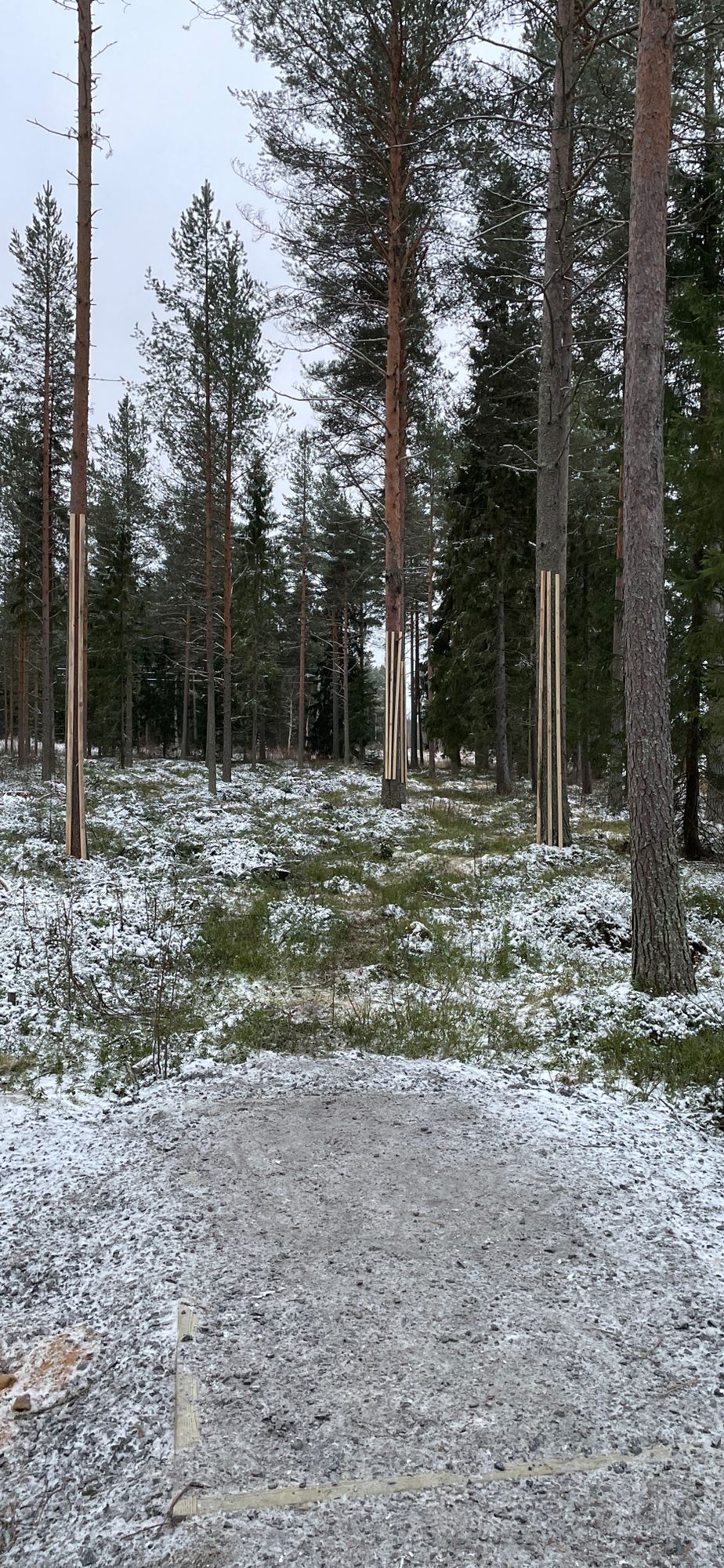 Ensimmäinen väylä