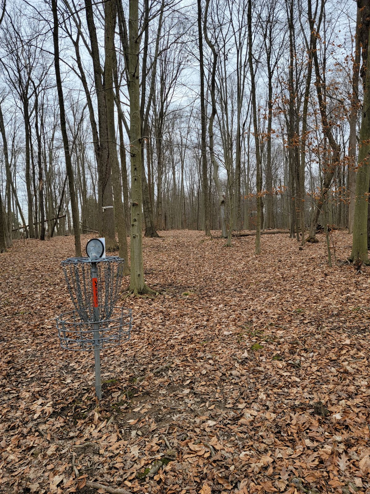 19's green looking back up the fairway