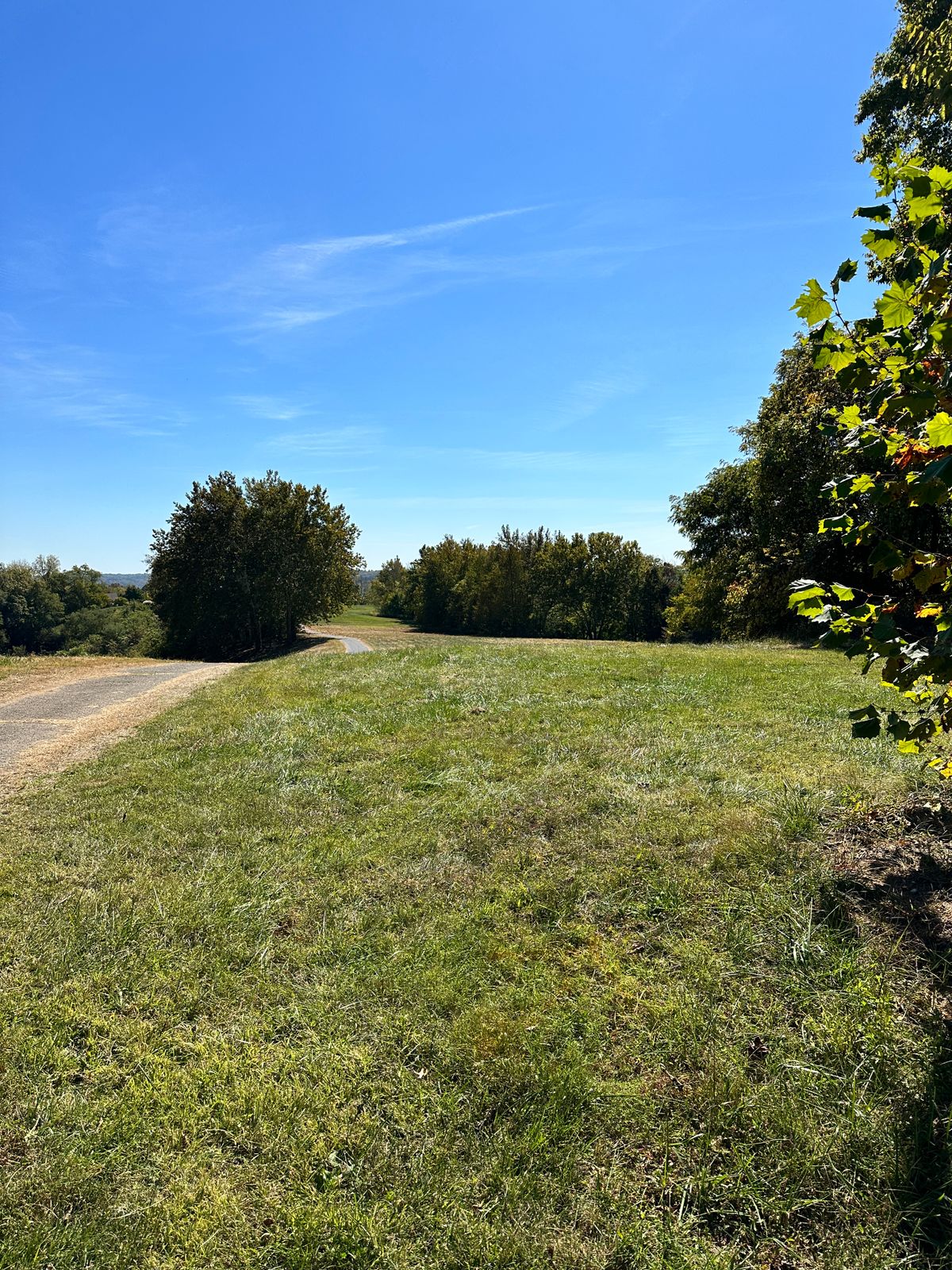 Hole 9 from tee