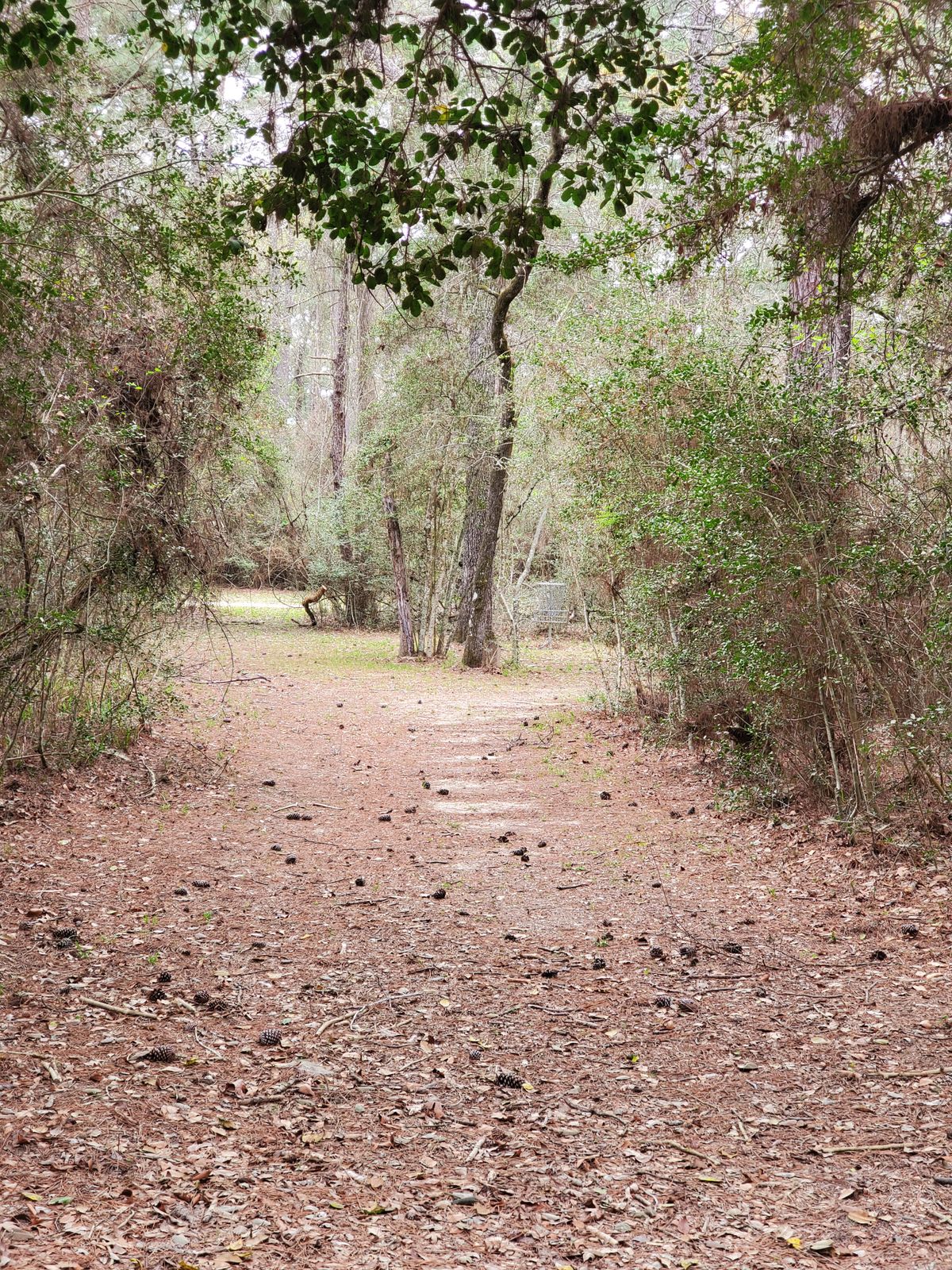 Hole 10 approach