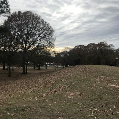 Rolling Hill Shots