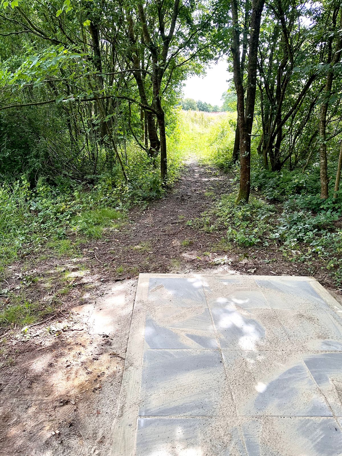 Tricky tee pad at hole 6 - not a lot of room for mistakes