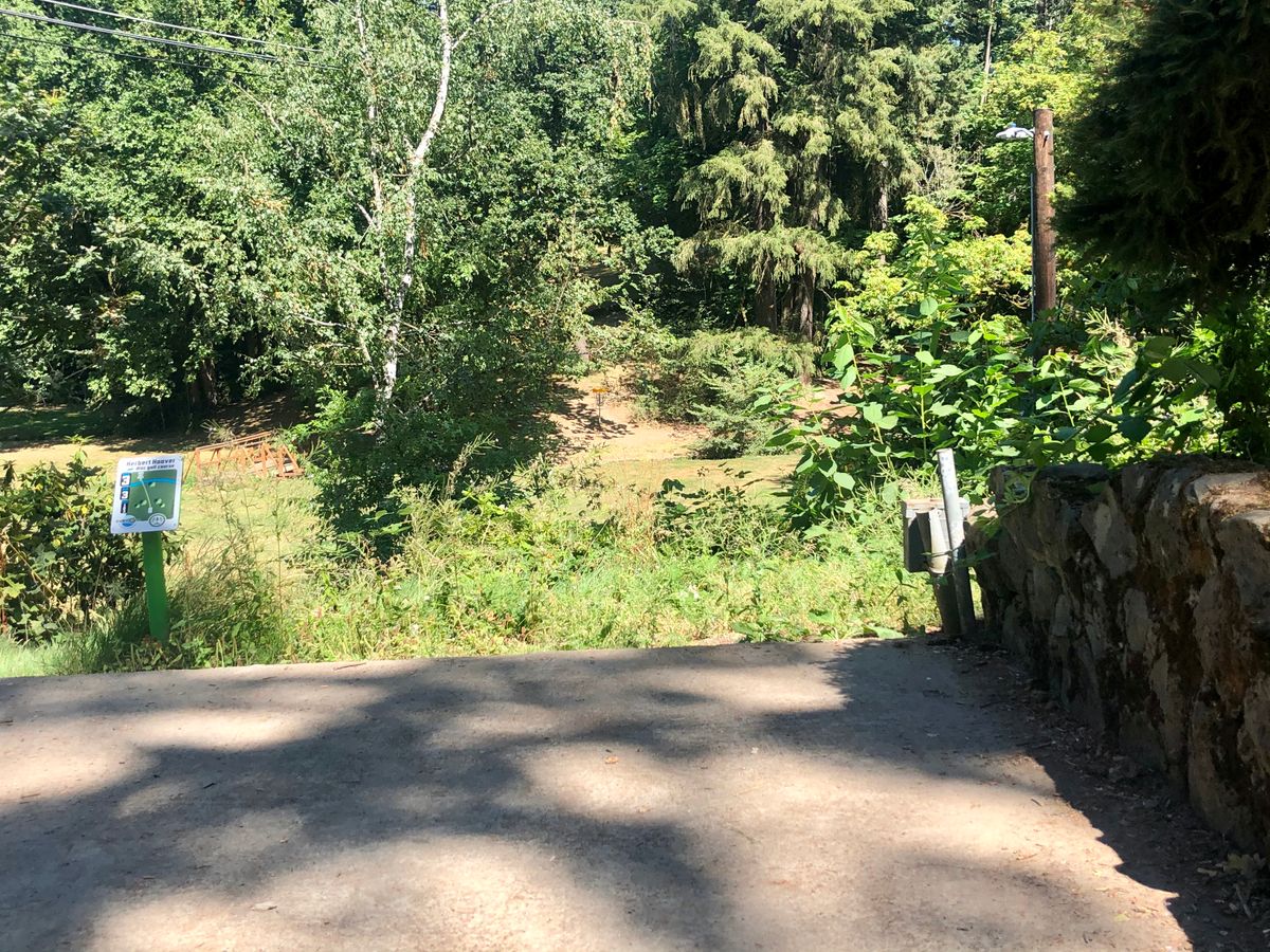 Hole 3 teepad. The basket is just on the other side of the creek