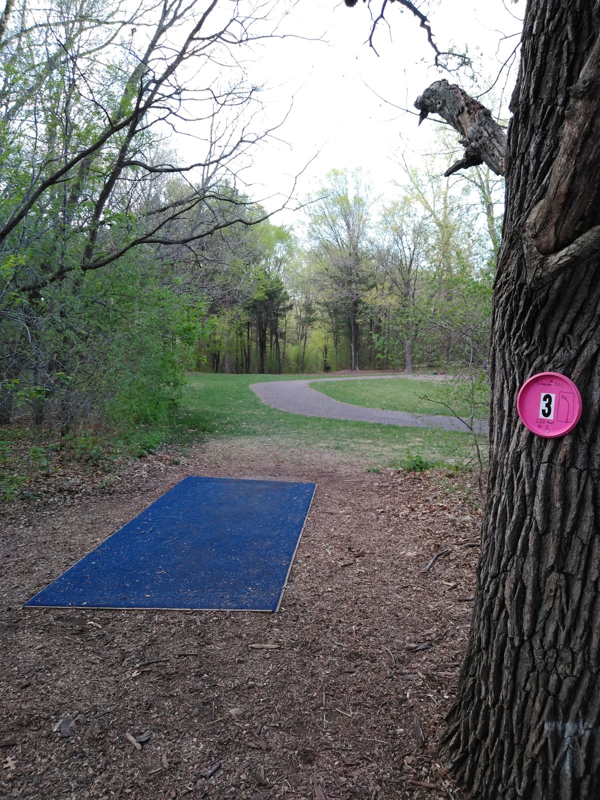 #3