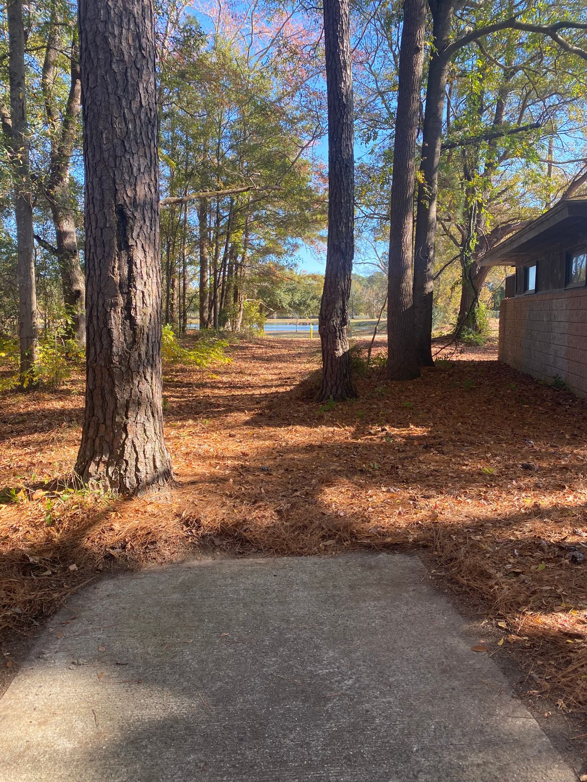 Hole 12 Green/White
