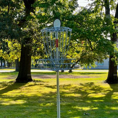 Elevated basket on hole 6/15