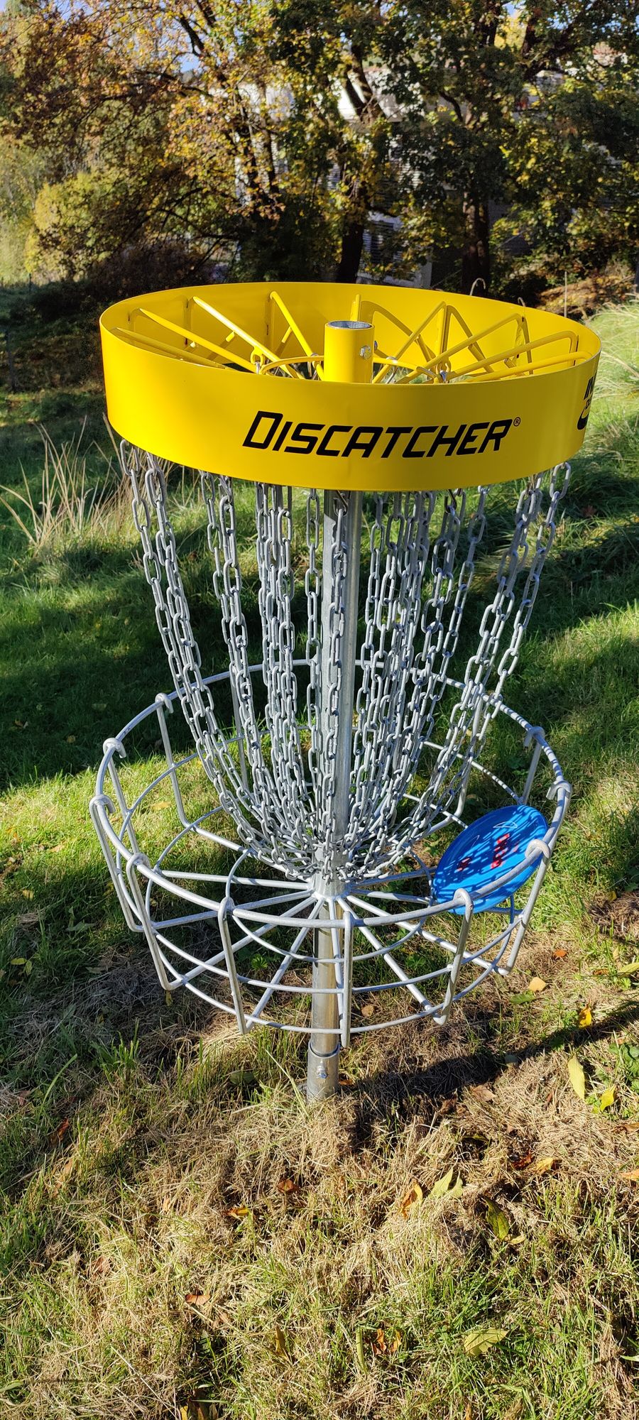Basket 6