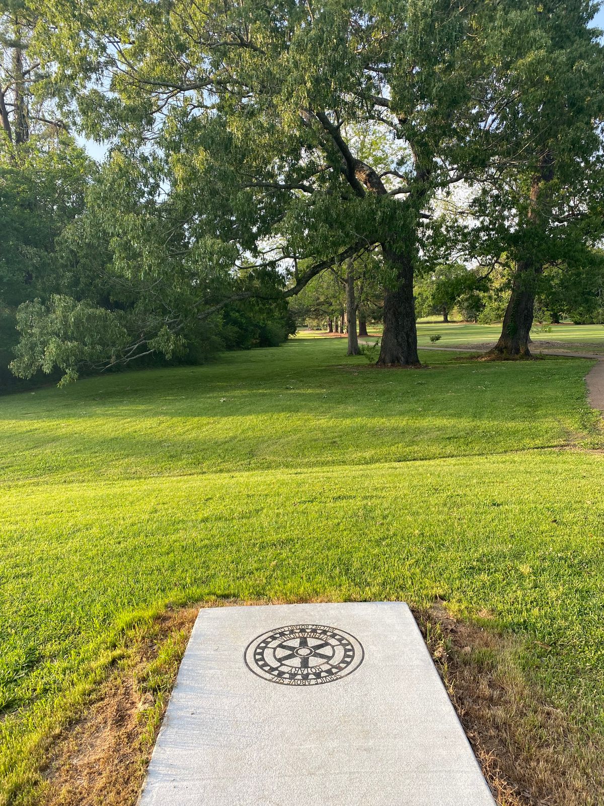 Tee 11