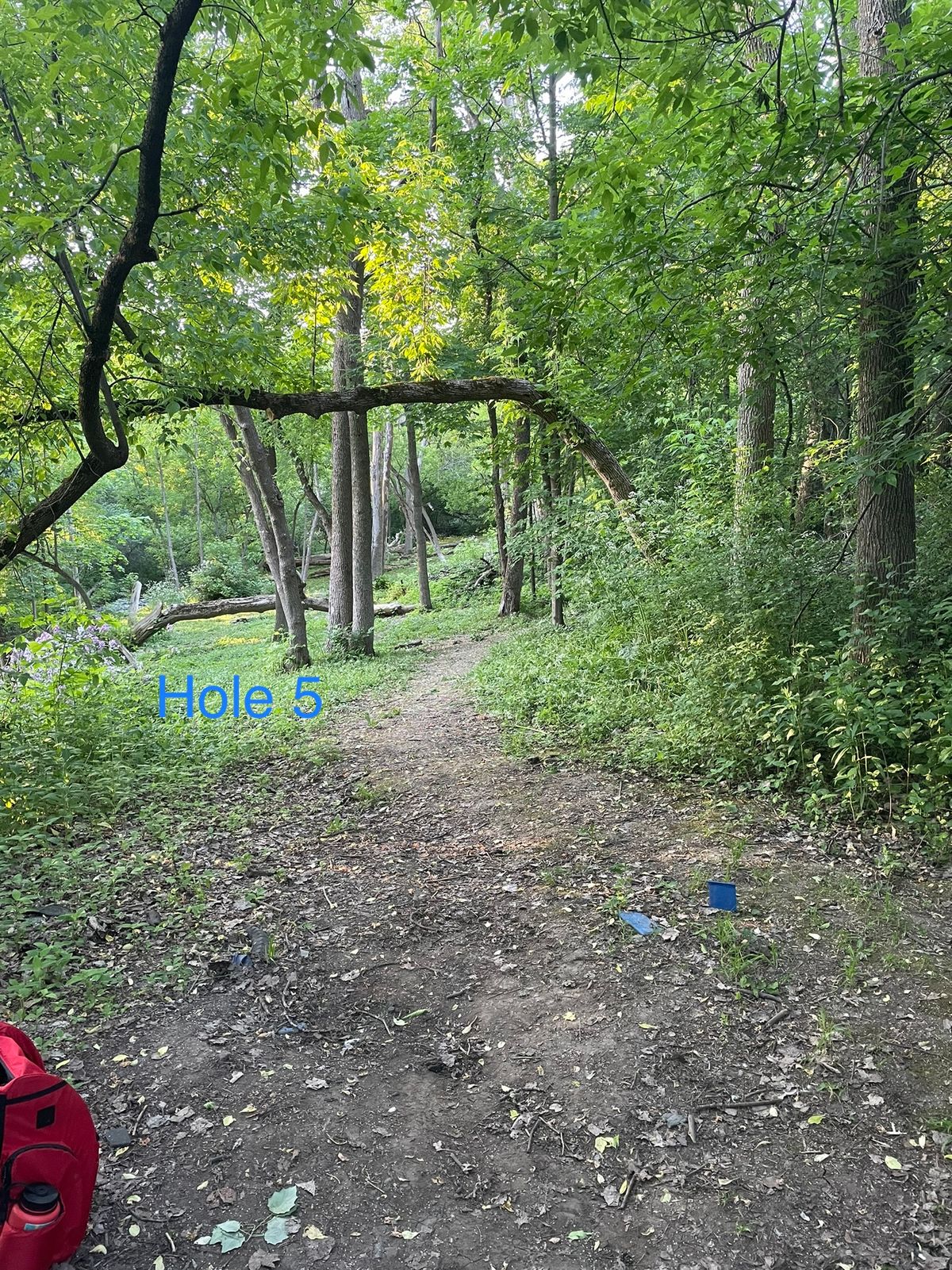 Hole 5, blues