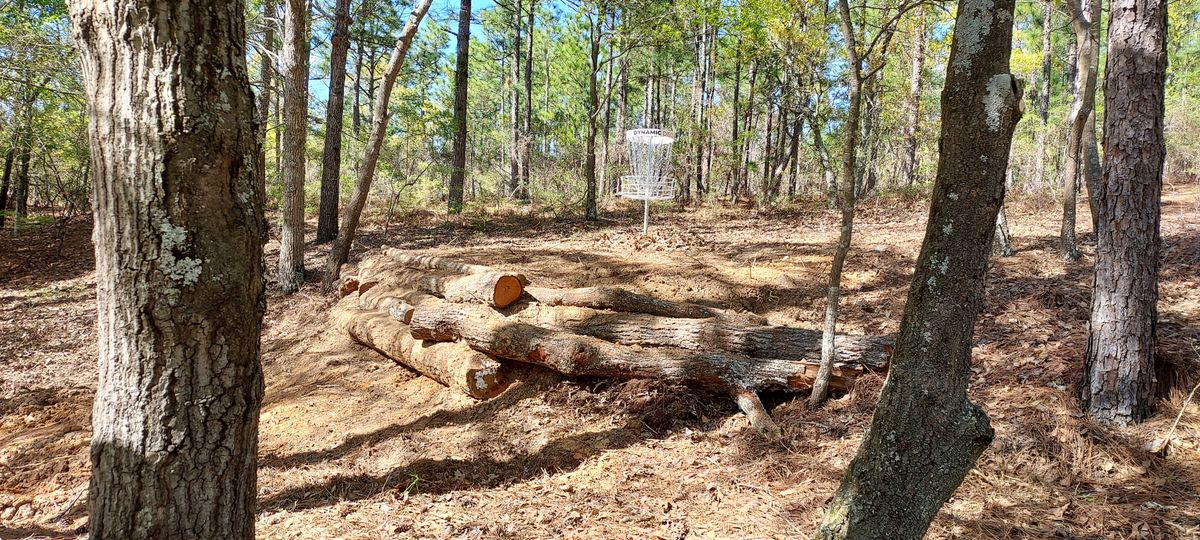 Hole 8 - Elevated green