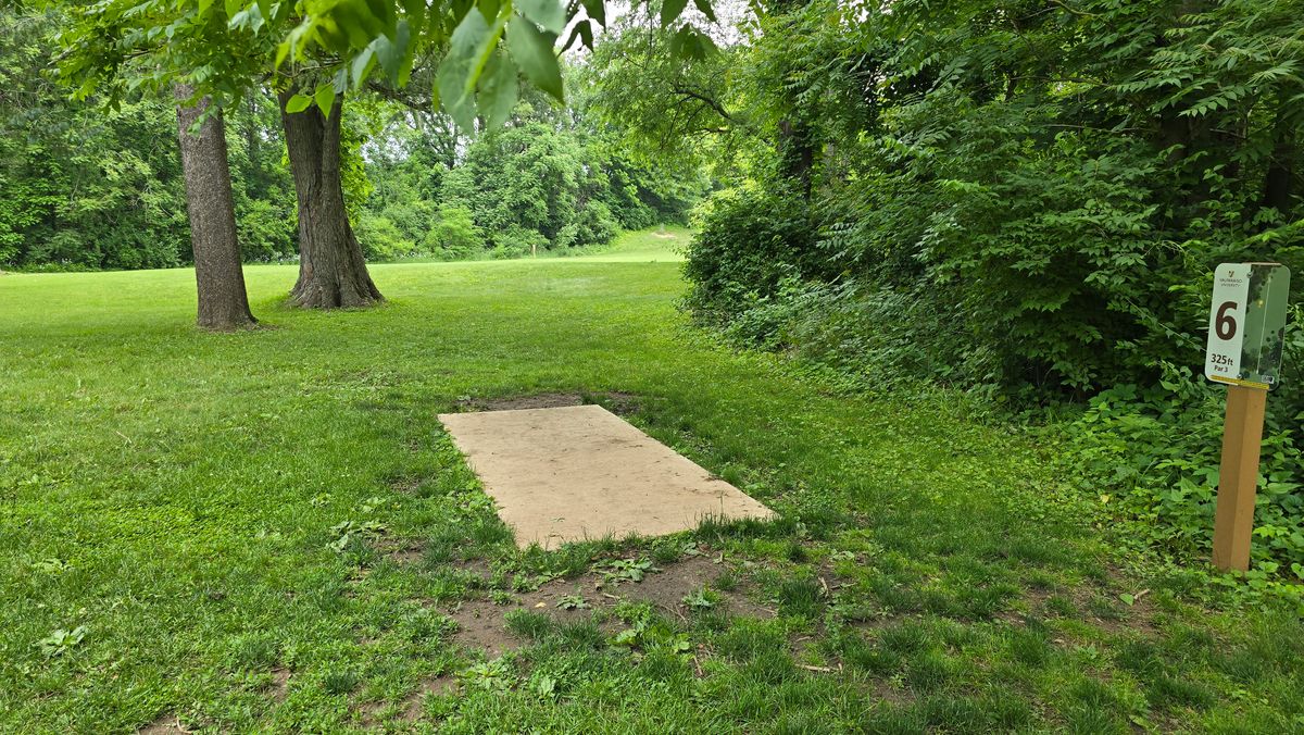 Hole 6 - Basket is on the side of the hill.