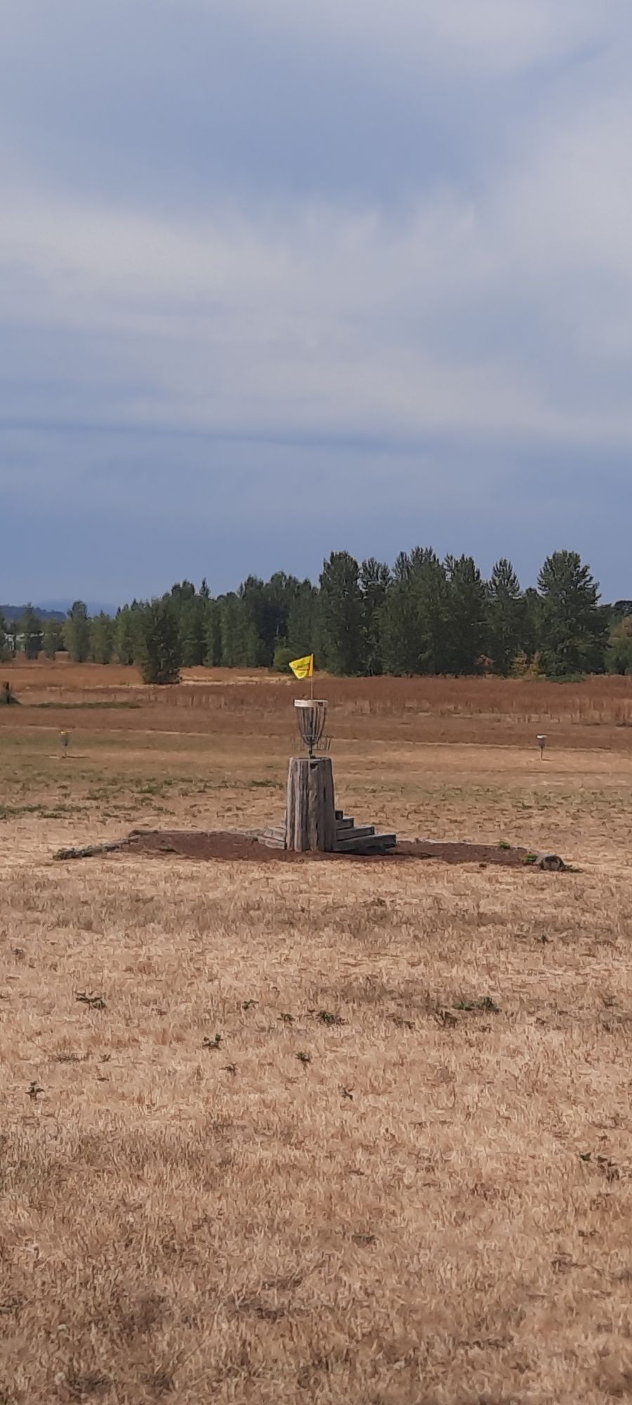Raised basket on 18