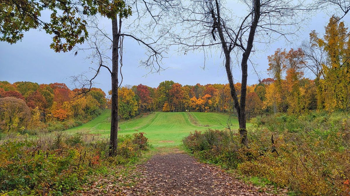 Hole 14 - tee