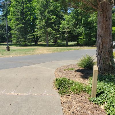Hole 2