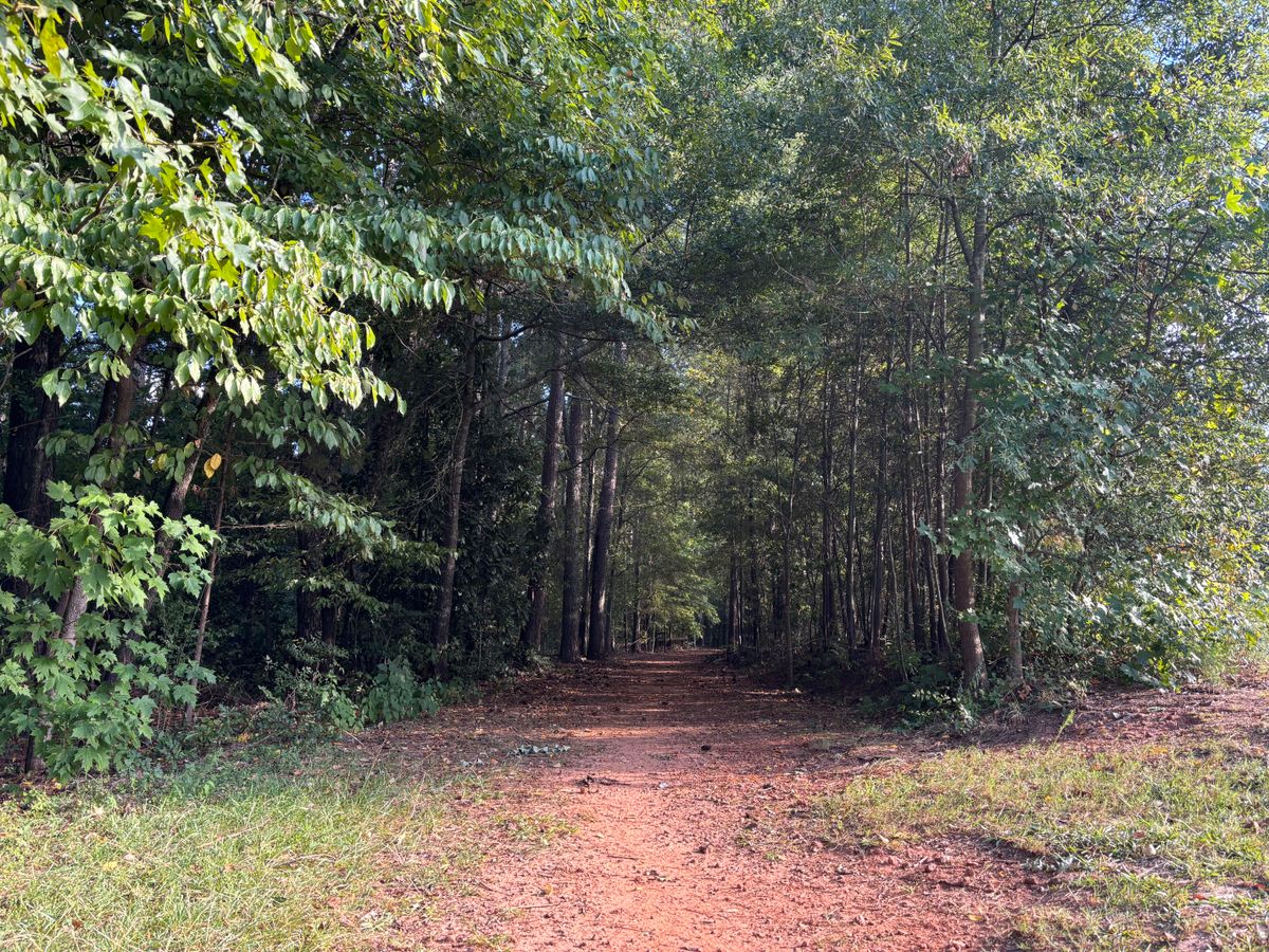 Hole 8 tee
