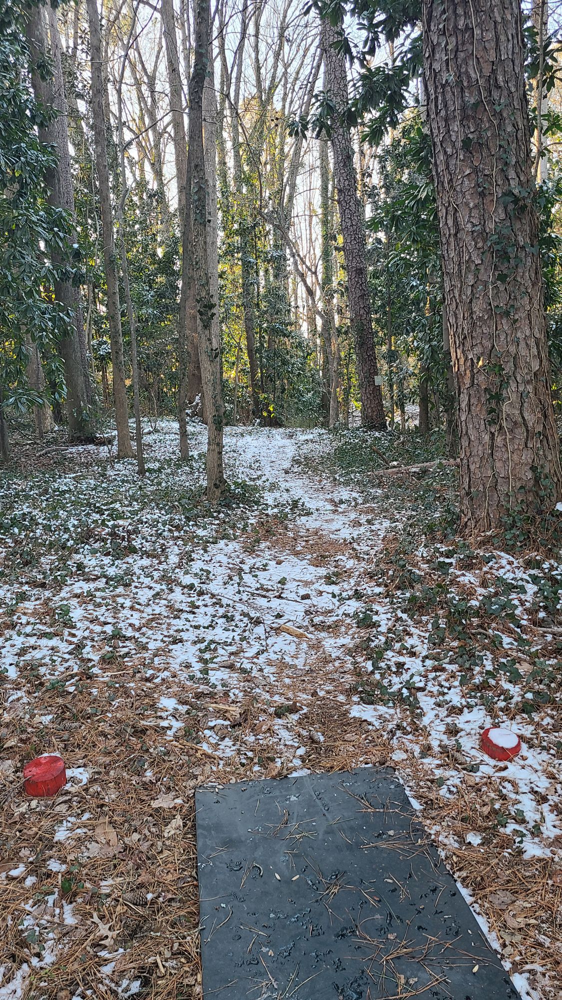 Snowy Hole 2