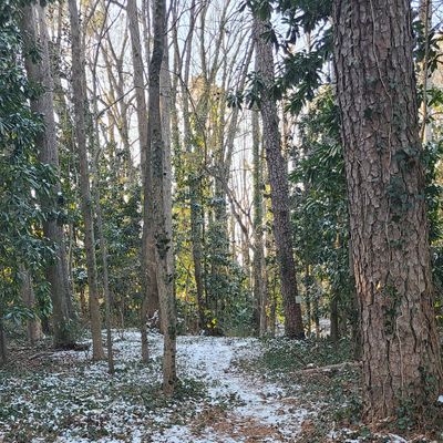 Snowy Hole 2