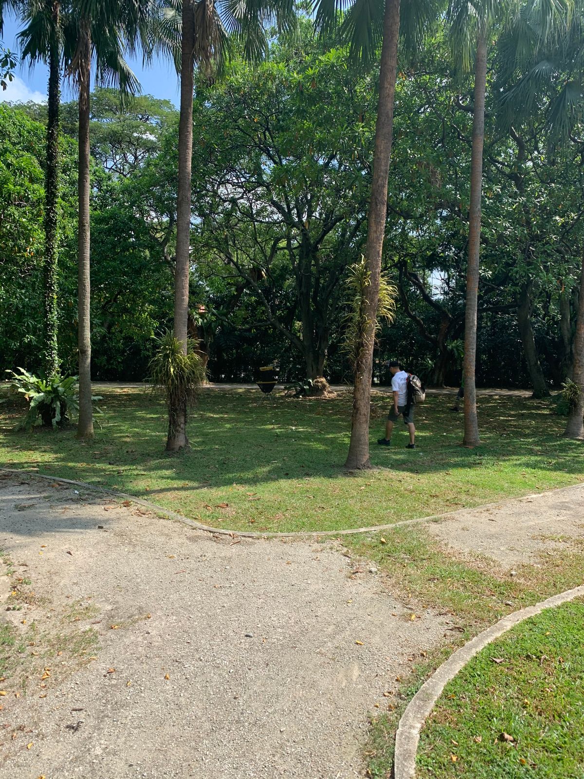 Hole 10 Basket