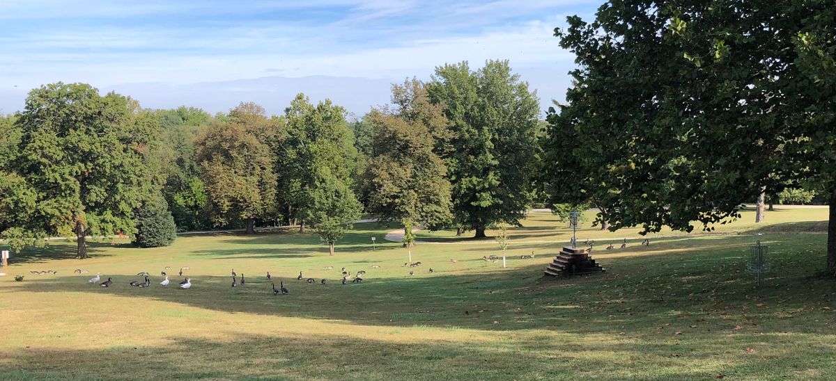 Snow and Canadian geese in the fall.