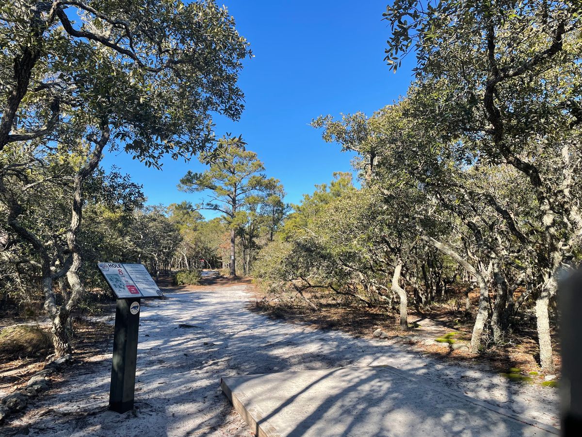 Hole 7