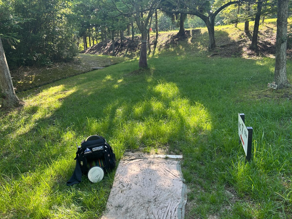 Hole 7 from tee - flex forehand