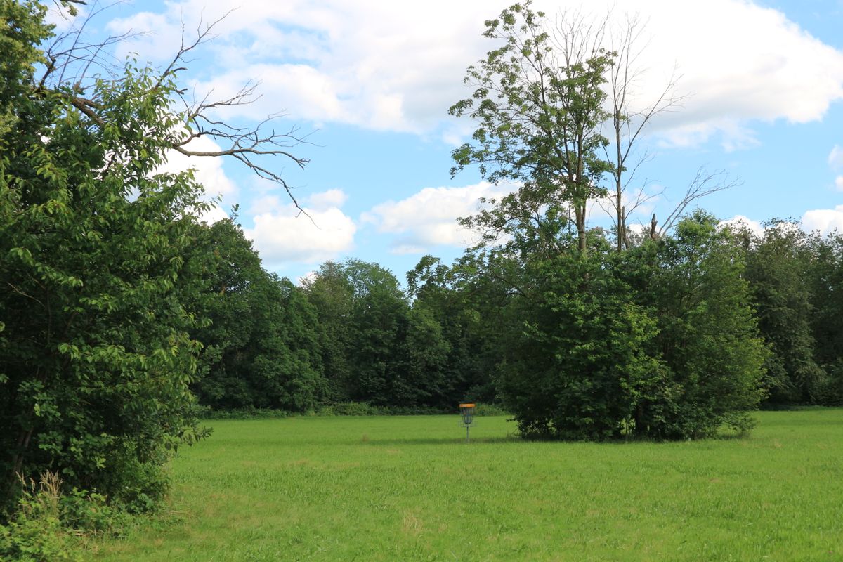 Basket from hole 8