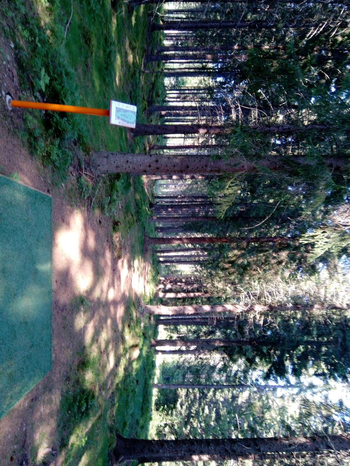 Hole #11 (21.7.2022).