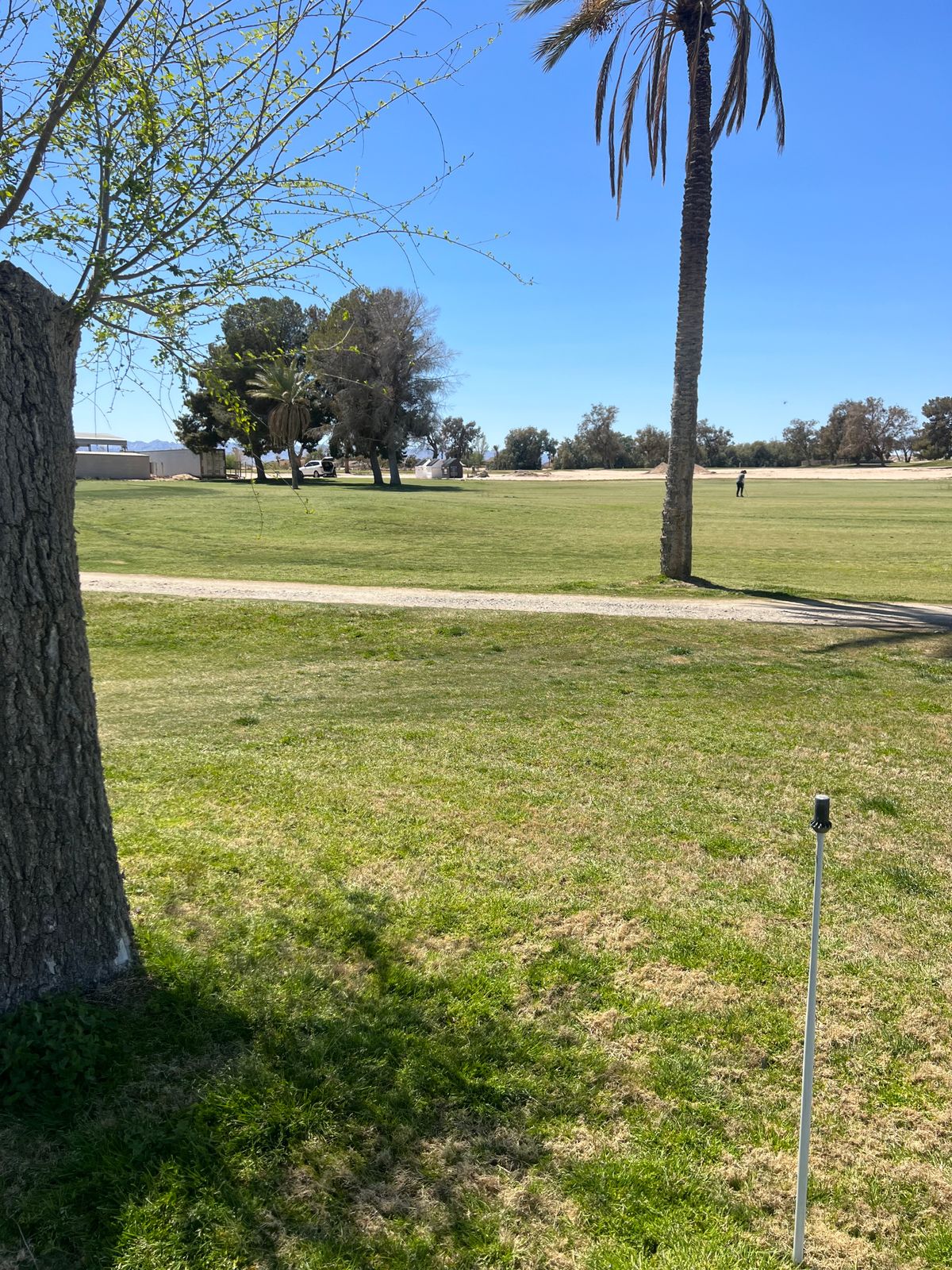 Hole 1 (Sand is OB)