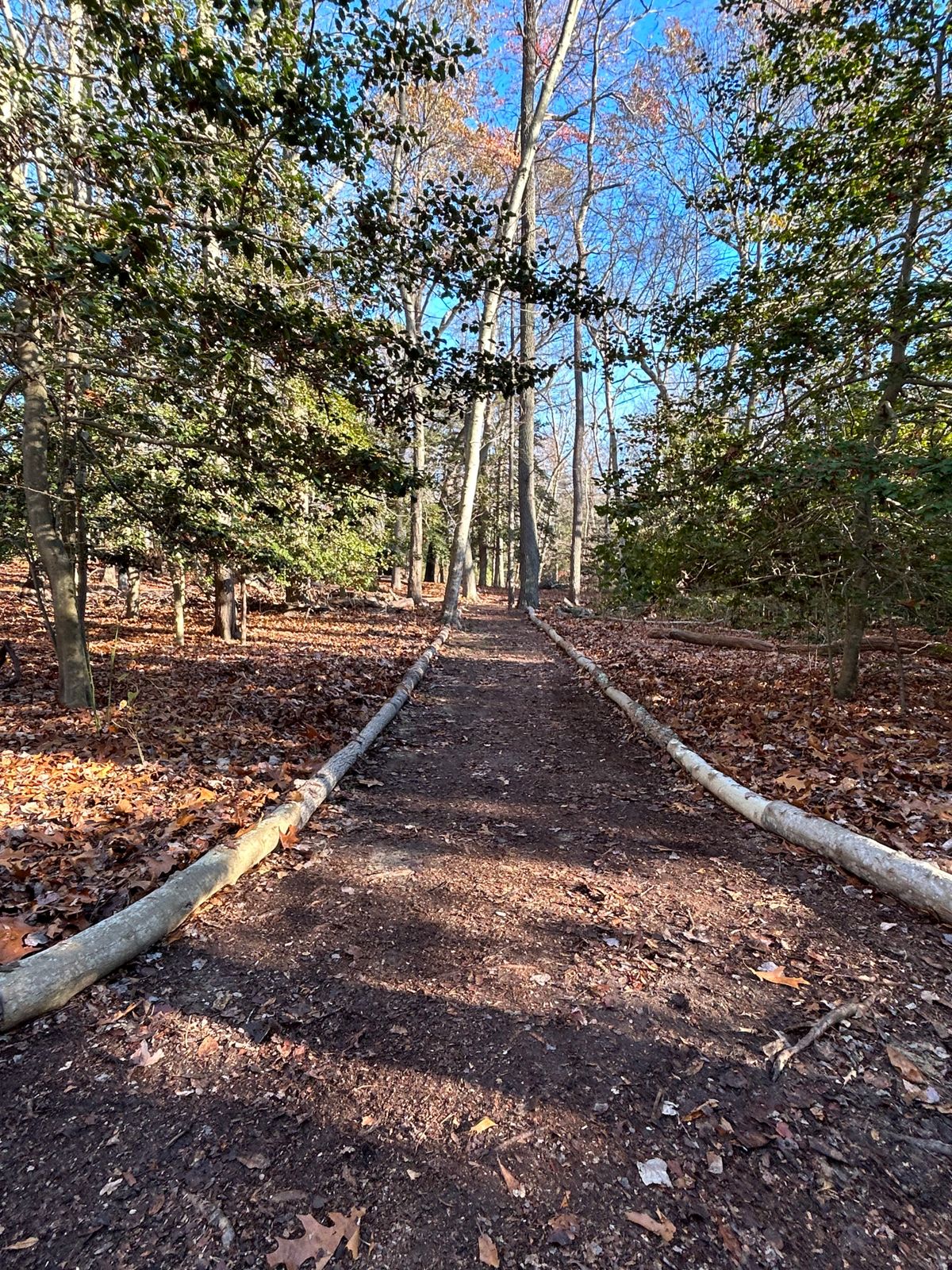 Beautiful path from 13 to 14
