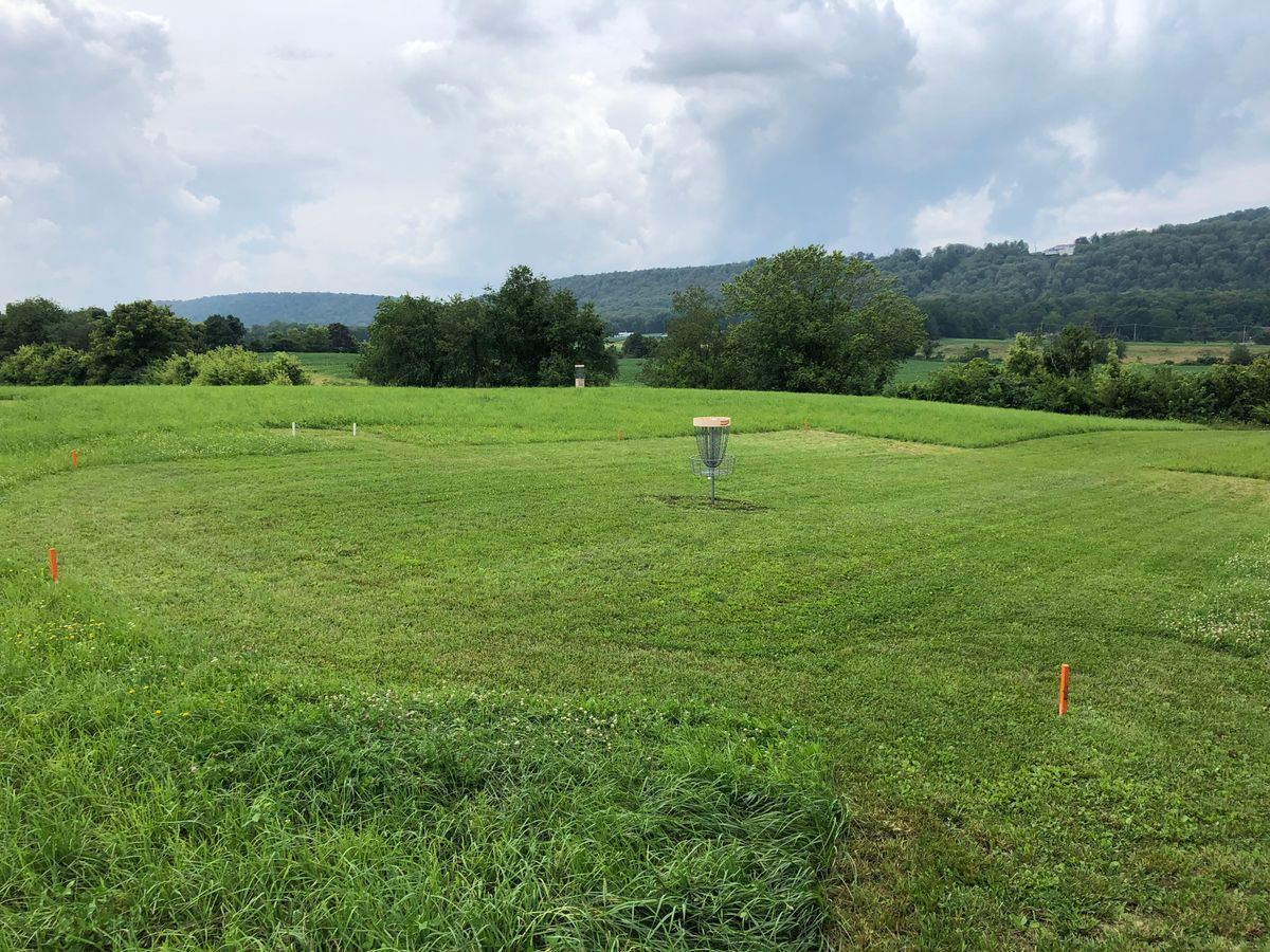 Hole 9 island green - mowed grass within orange stakes; white stakes mark drop zone