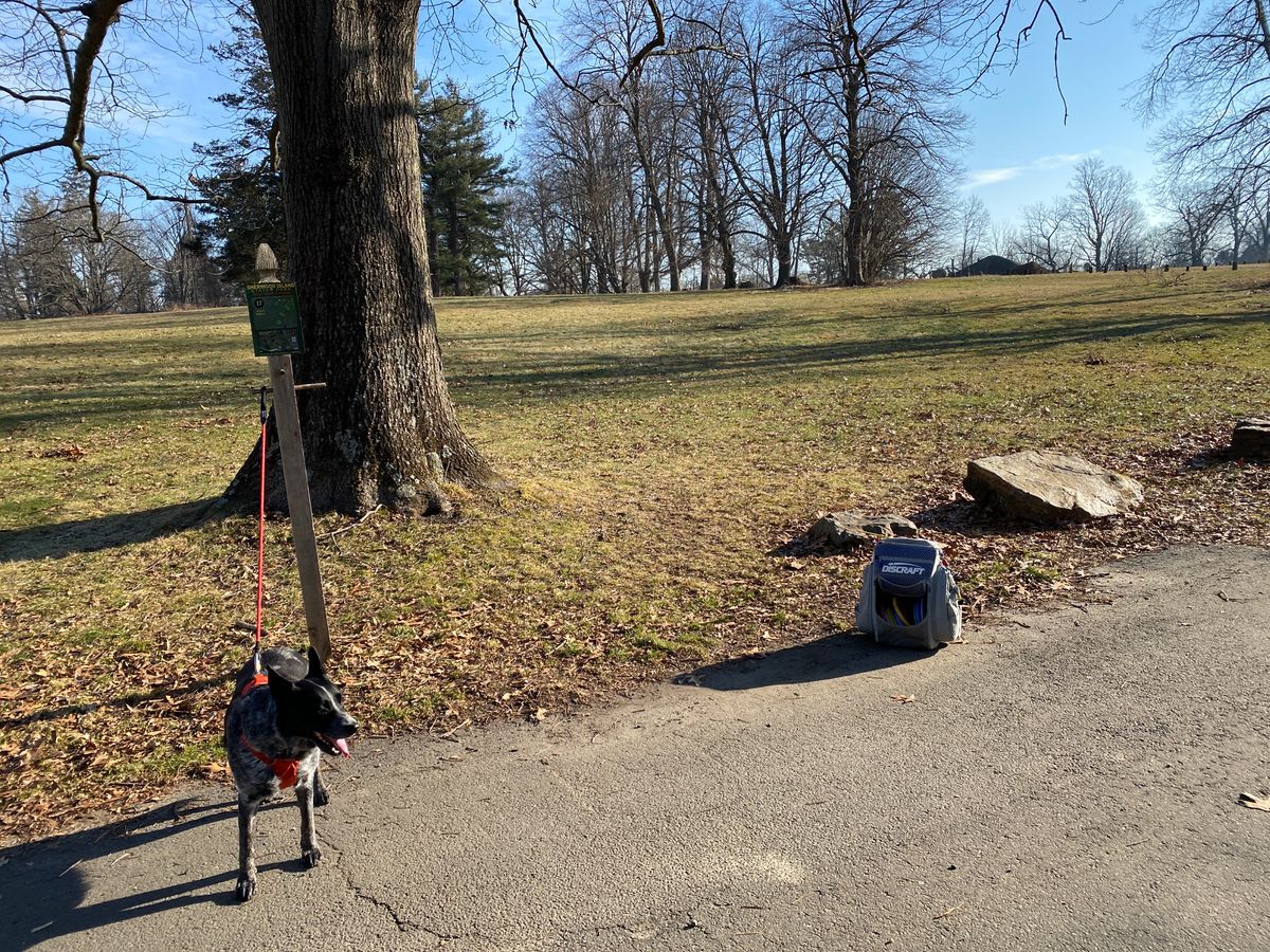 Original 17th tee, out of play — basket has been moved and is used for new #7, and again as #13 for "18 on 10" layout.