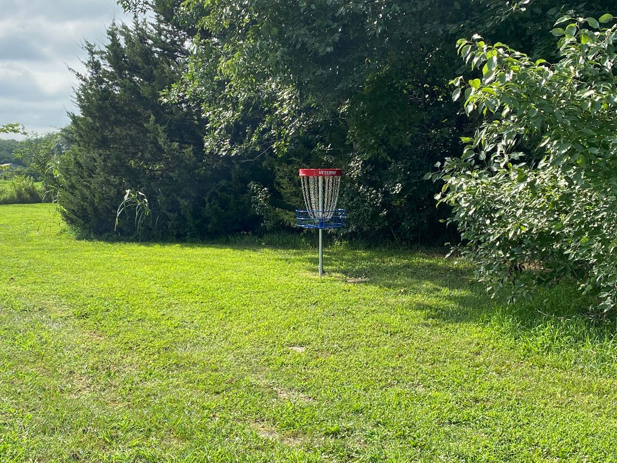 Hole #8 A Hidden Basket
