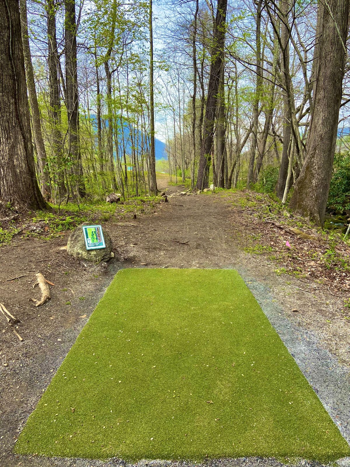 Tee of hole 10