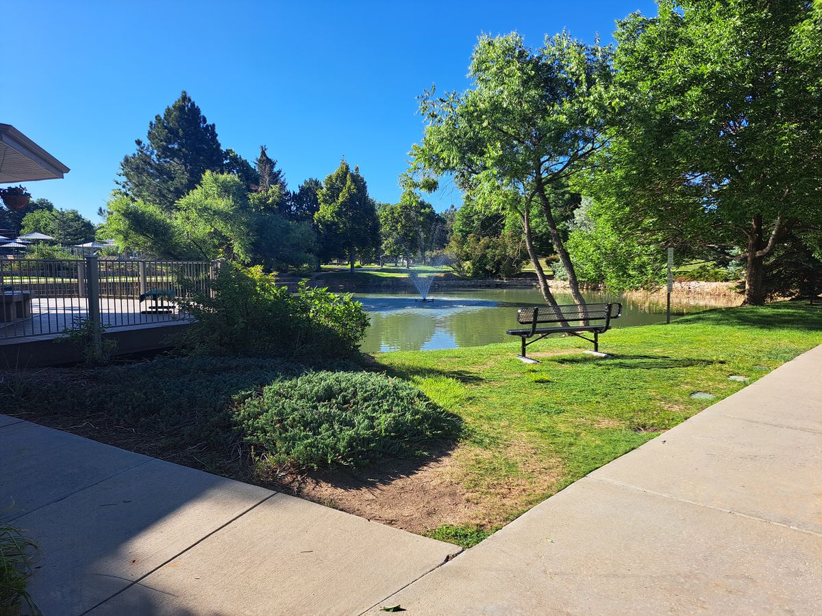 Pond that will eat your discs