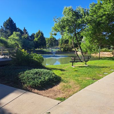 Pond that will eat your discs