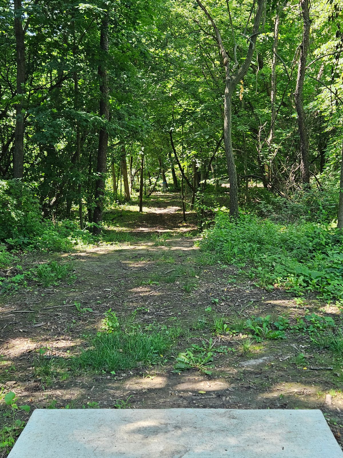 Hole 3 teepad