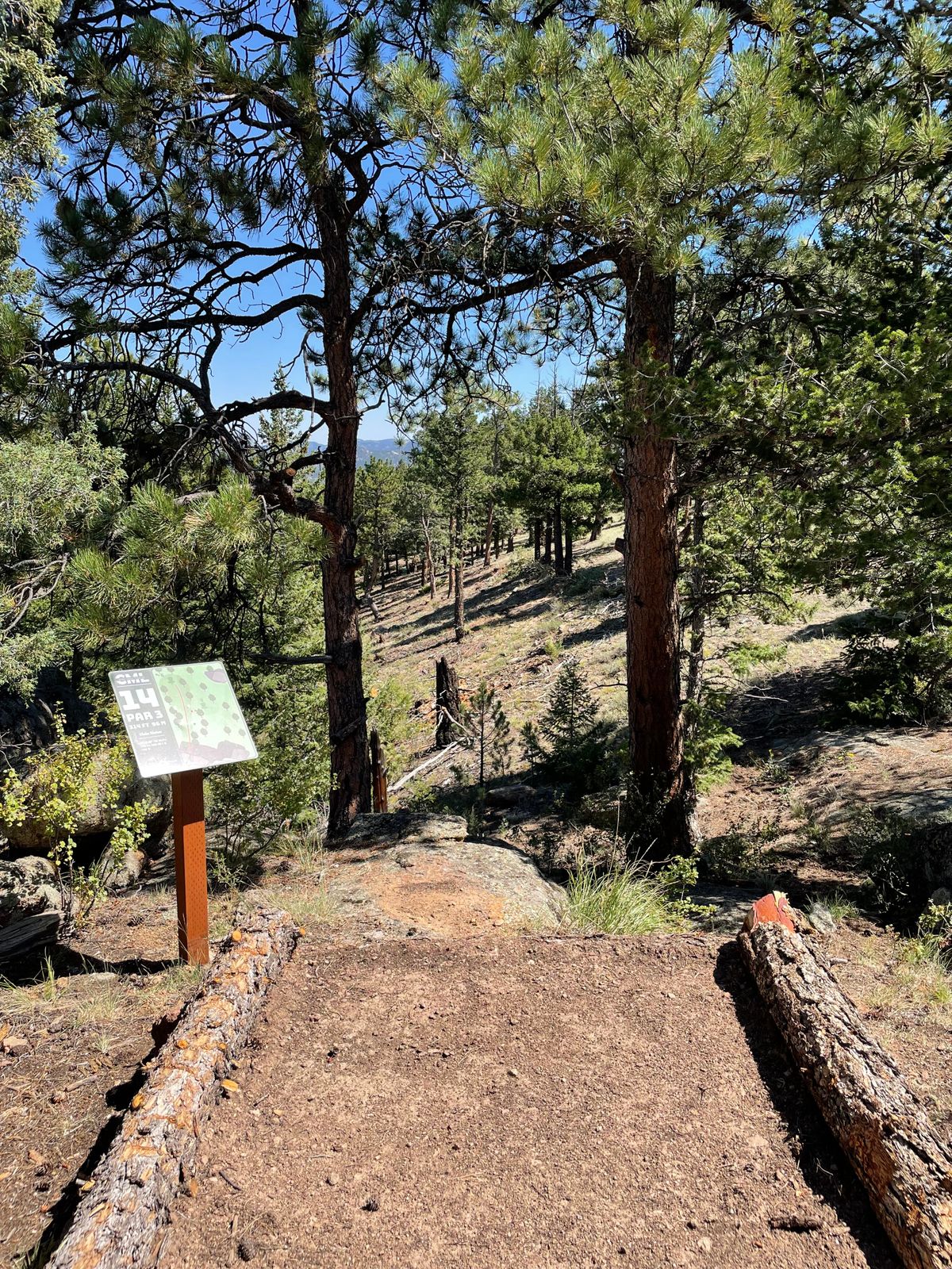 Hole 14 tee