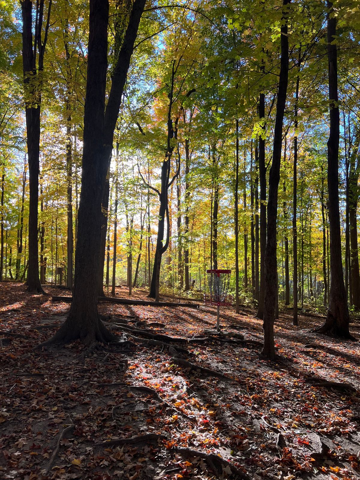 Hole 9’s basket in the Fall