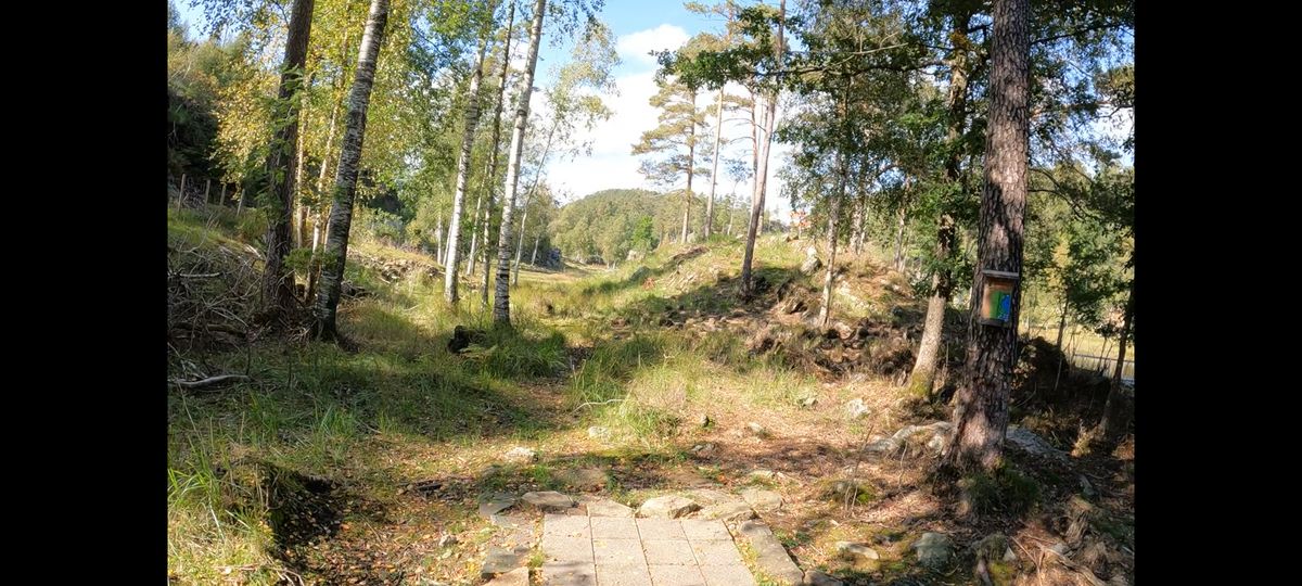Utkast hull 12, par 4
