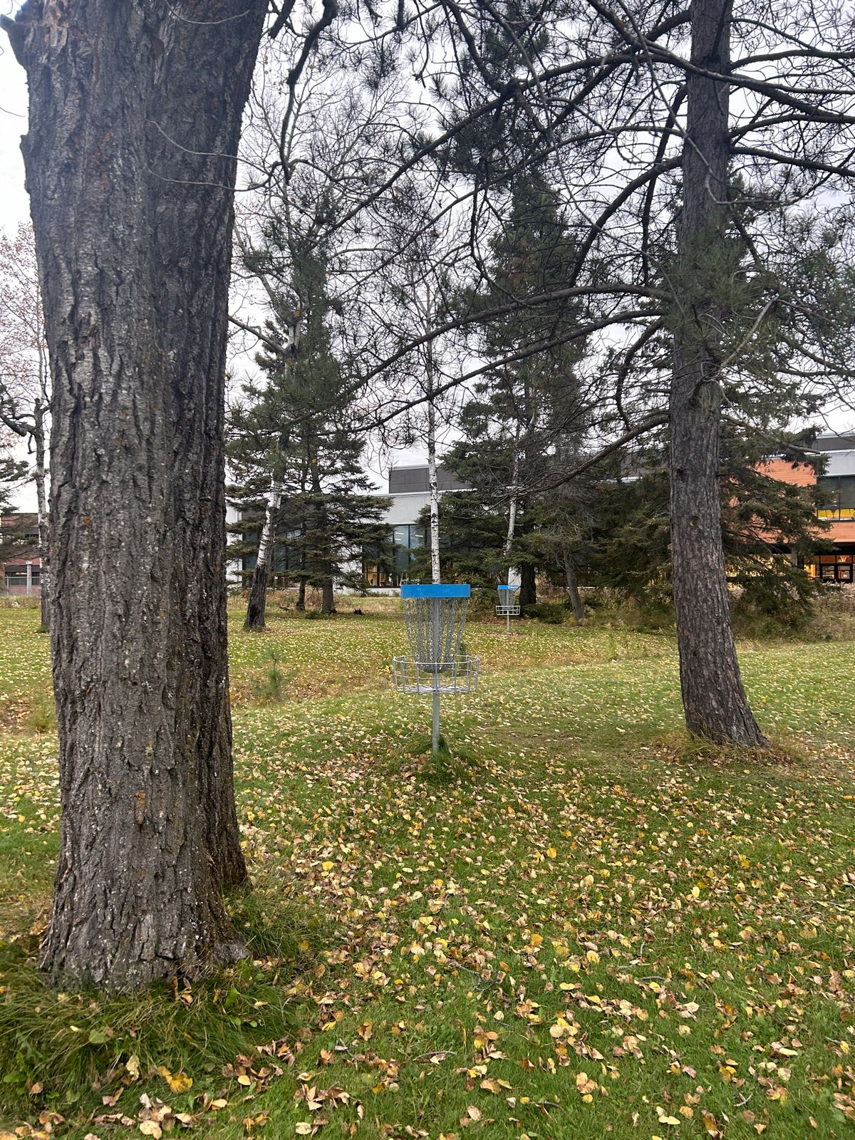 Hole 5 basket