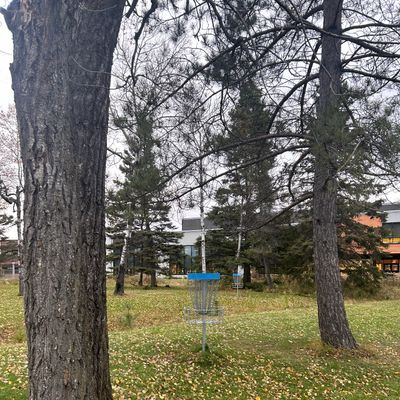 Hole 5 basket
