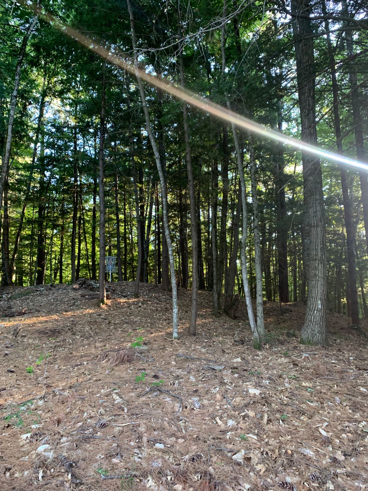Hole 8