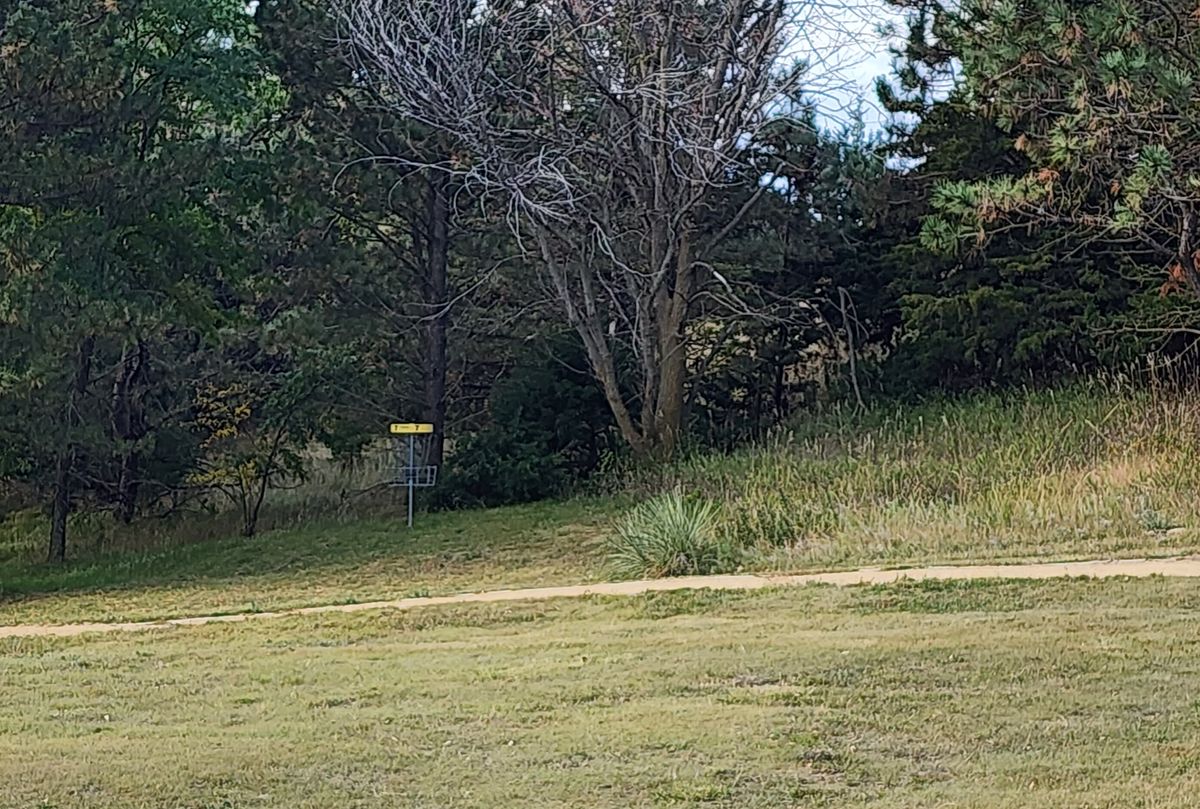 Course views