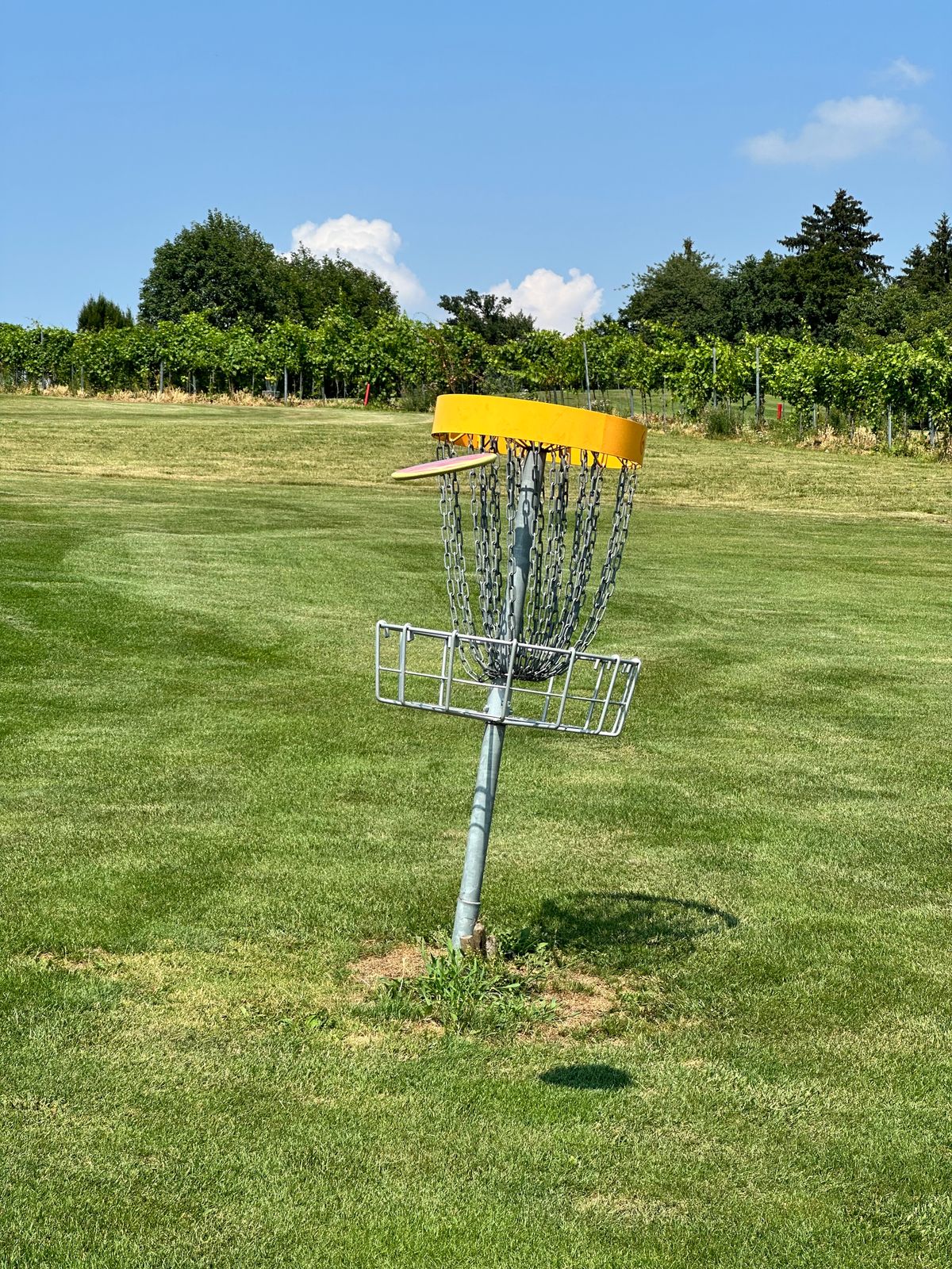 Almost all baskets on front 9 are leaning heavily
