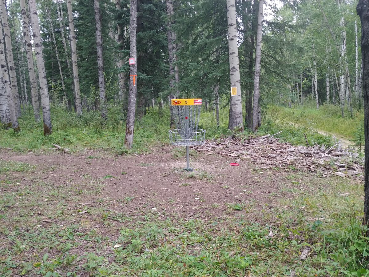 Hole 5 basket