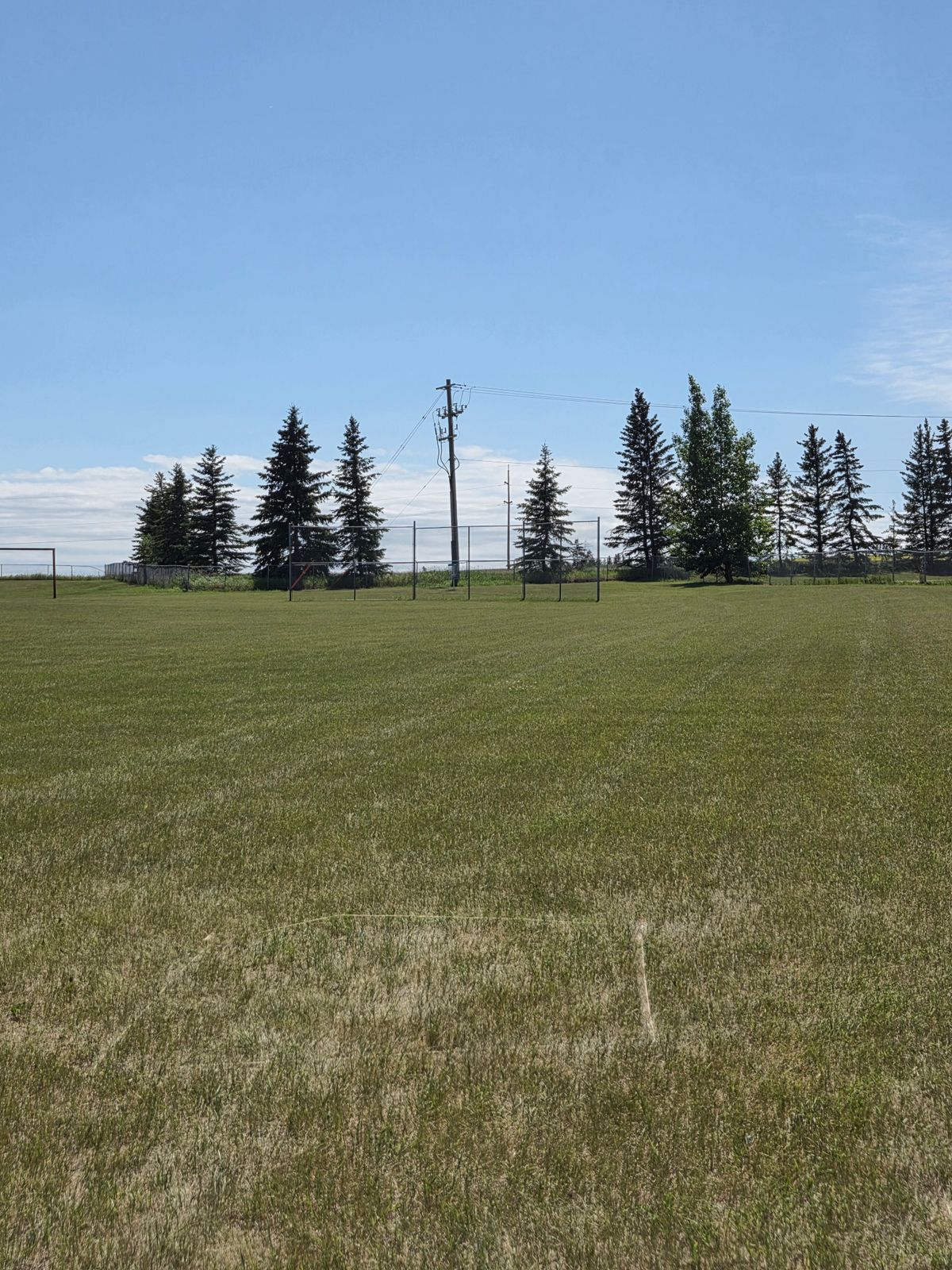 Hole 2 - The basket is behind the Baseball backspot