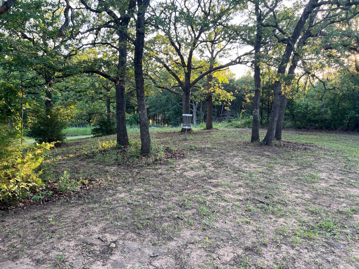Hole 5s basket