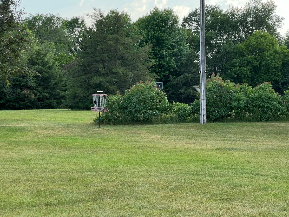 Throw too far and you need to go over the lilacs