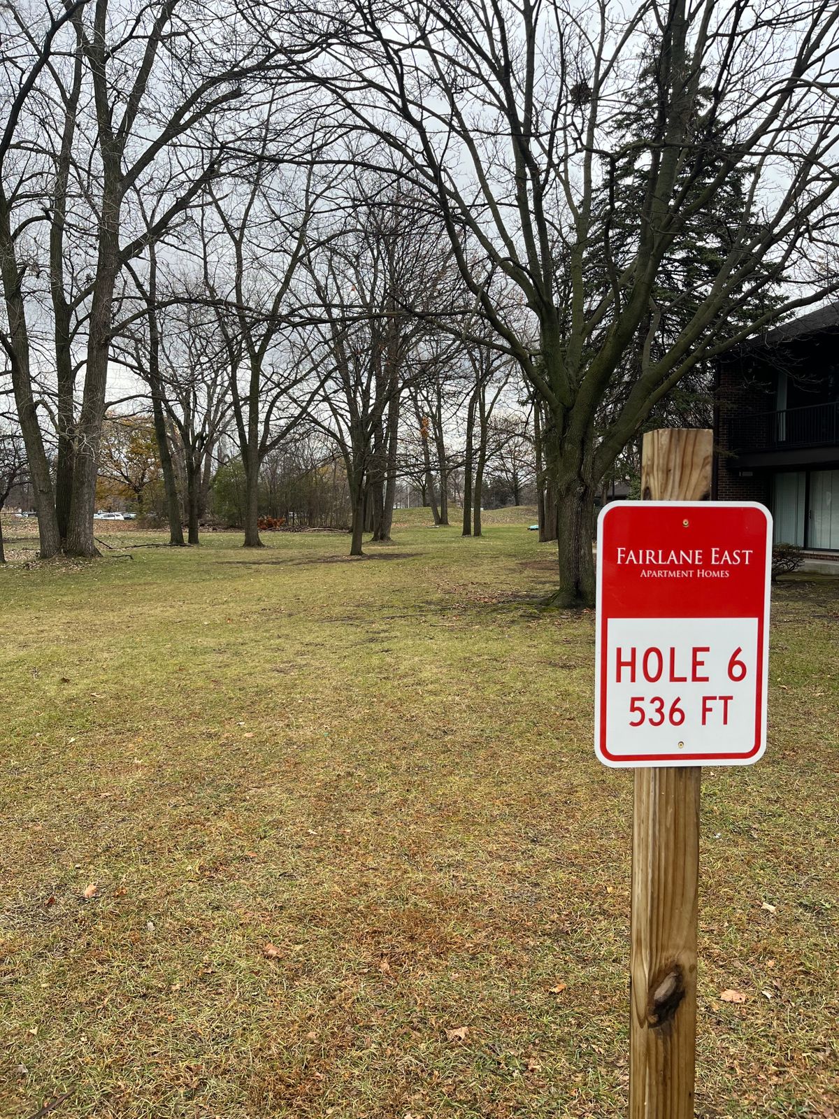 Hole 6