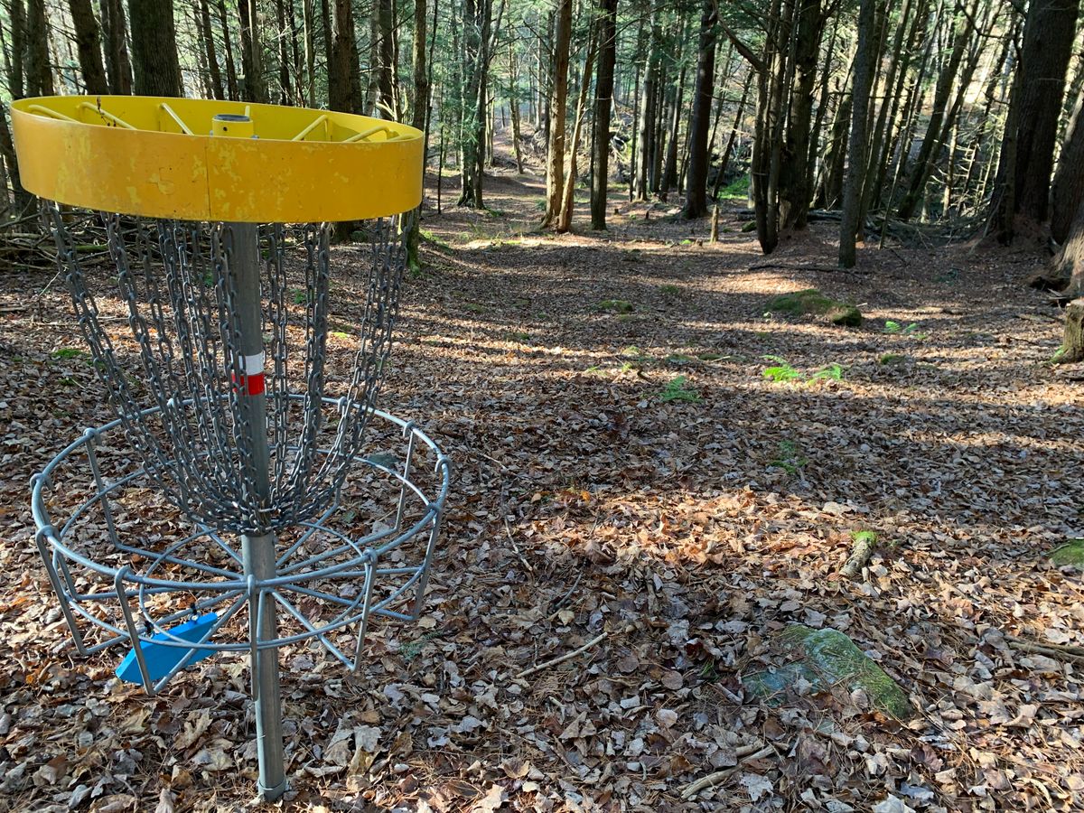 Hole 2 basket